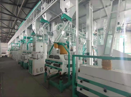 实拍大型全自动水稻加工大米设备及其价格分析